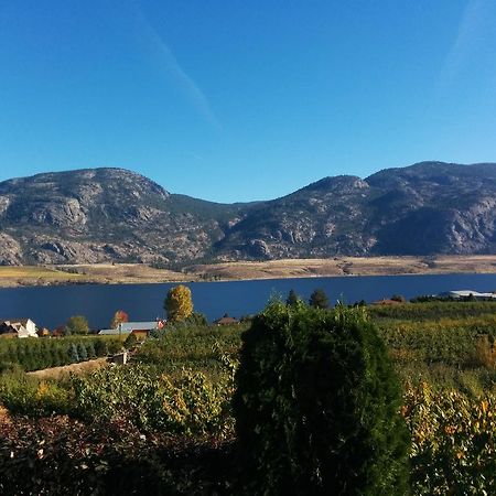 Ciliegia Villa Осуюс Номер фото