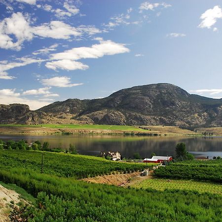 Ciliegia Villa Осуюс Экстерьер фото