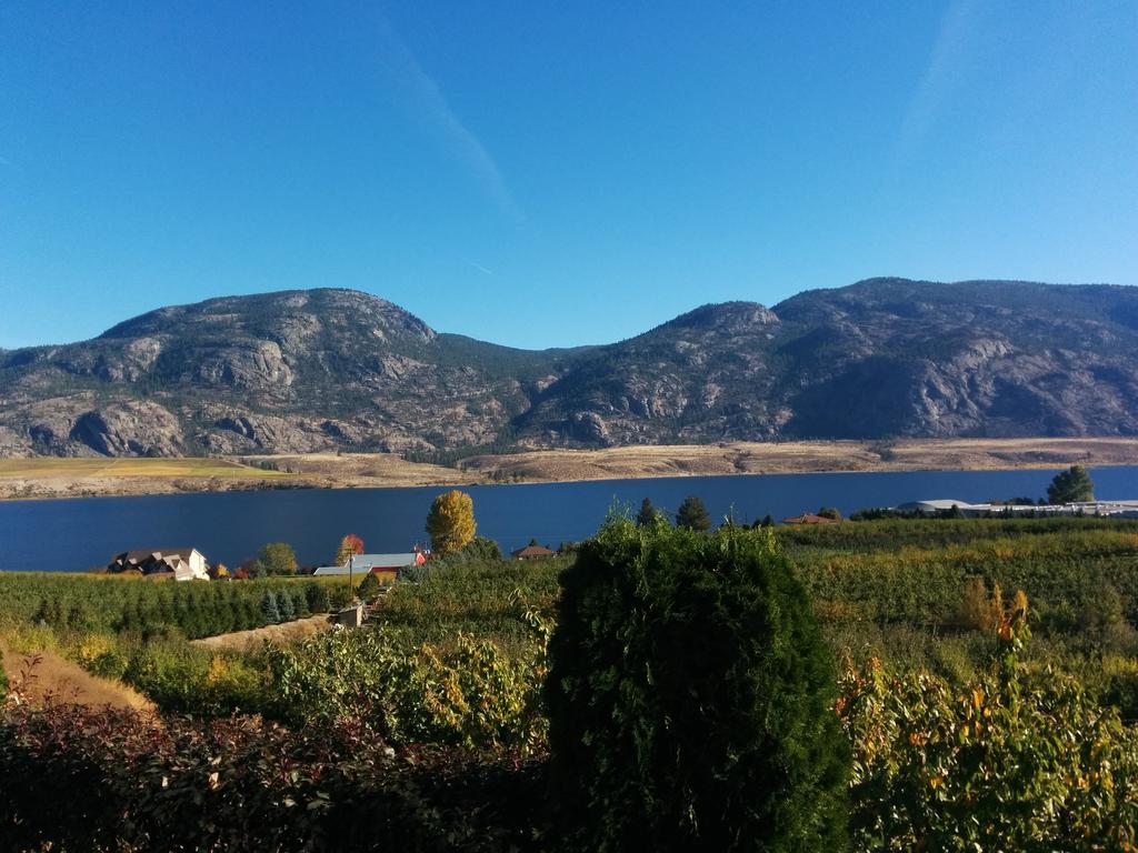 Ciliegia Villa Осуюс Номер фото